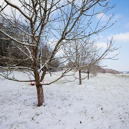 Stone Cottage With Modern Cosy Interior Near To Josselin Perfect Retreat For Writers Or Star Gazers Guegon Экстерьер фото