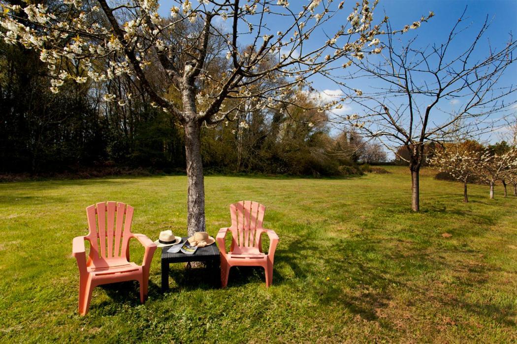 Stone Cottage With Modern Cosy Interior Near To Josselin Perfect Retreat For Writers Or Star Gazers Guegon Экстерьер фото